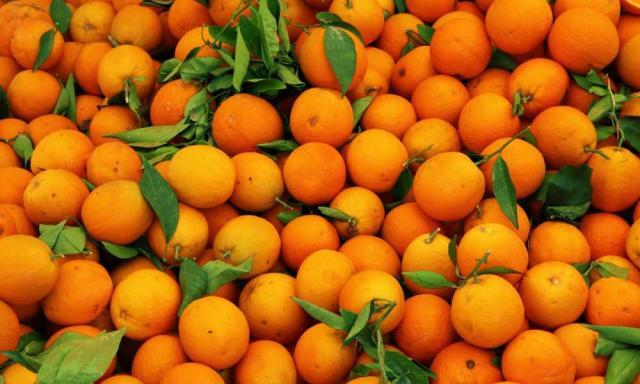 بشهادة قنصلهم:البرتقال المصرى أصبح من الفاكهة المفضلة للصين