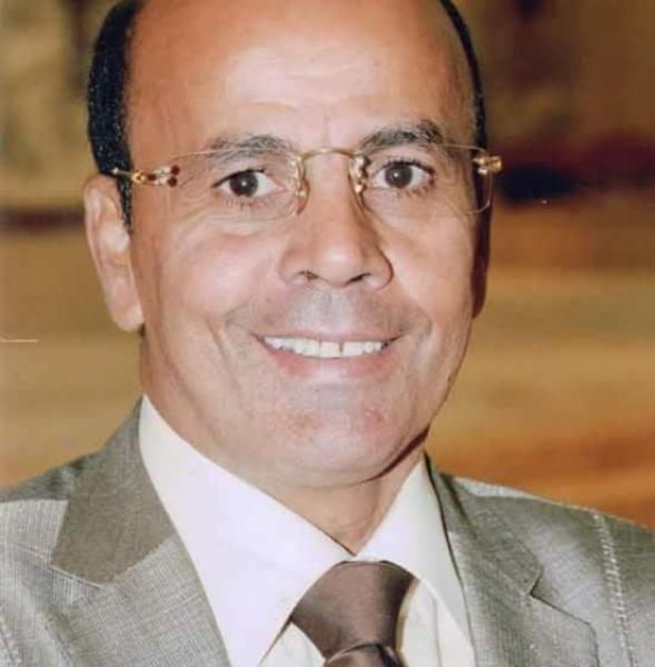 محمد حلمي :  الحوار الوطني بارقة أمل لوضع مصر على المسار الديمقراطى الصحيح .
