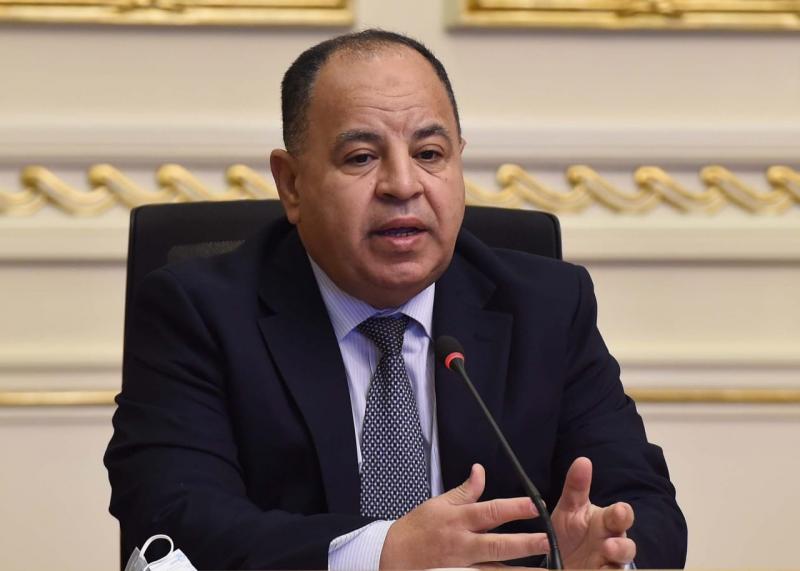 محمود مكى الدين : وزير المالية المسئول الأول عن نجاح الاستثمار