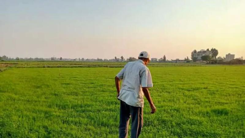انطلاق مبادرة «صمود» لدعم صغار المزارعين في 3 مراكز بالشرقية