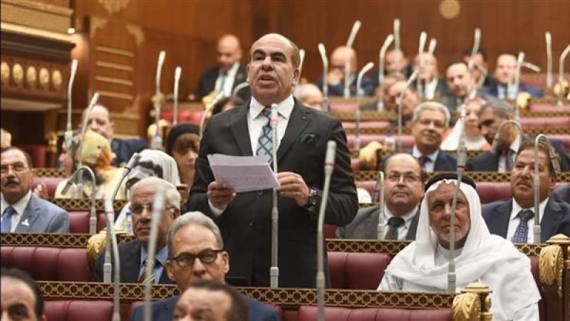برلماني: مصر تواجه المخطط الإسرائيلي لتصفية القضية الفلسطينية بكل حزم وصرامة
