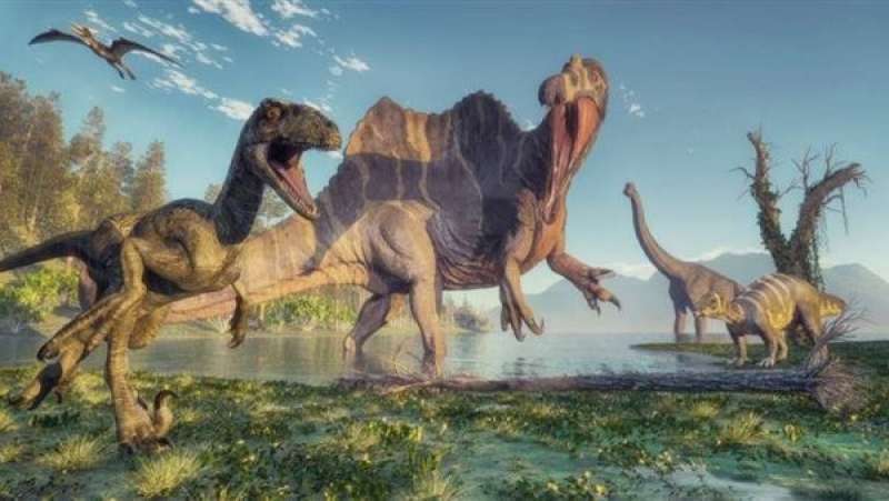 العثور على حفريات لزواحف طائرة من أقارب الديناصورات