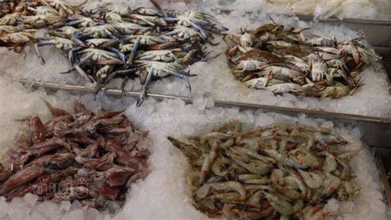 انخفاض الأسعار يعيد المواطنين لحلقة السمك مرة أخرى في السويس (صور)