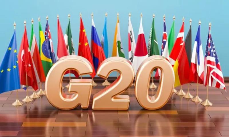 ألمانيا تدعو مجموعة العشرين لحل أزمة أوكرانيا وغزة