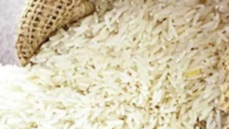 سعر طن الأرز الشعير اليوم.. «الحبة العريضة» بـ27 ألفا و300 جنيه
