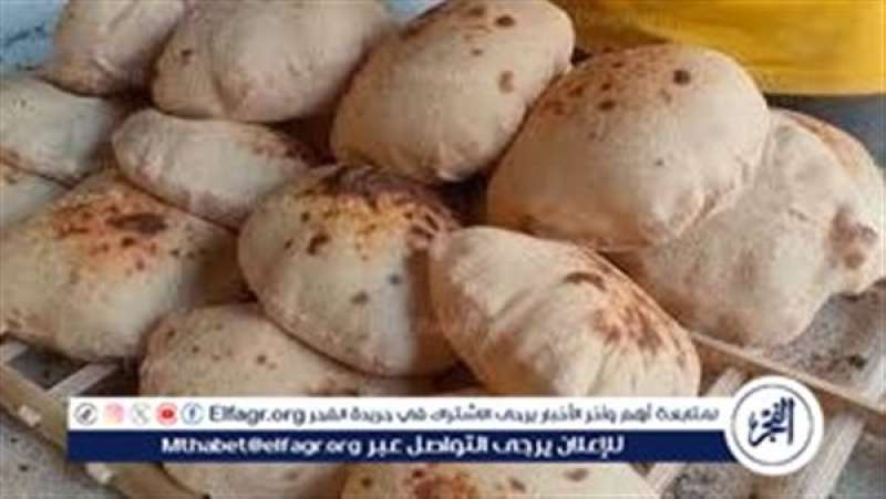 عاجل: تعرف على سعر الفينو والخبز السياحي في مصر بعد قرار تخفيض سعرهما