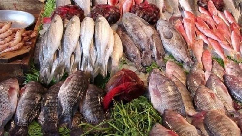 ضربة قوية للتجار.. كيف أثرت حملة مقاطعة الأسماك على الأسواق في بورسعيد والإسكندرية؟ تعرف إلى الأسعار الجديدة