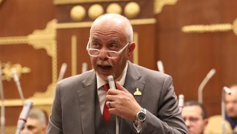 برلماني: مصر تبذل جهودًا كبيرة لدعم القضية الفلسطينية ورفض مخطط التهجير القسري