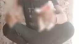 الأخبار