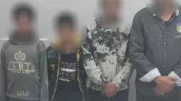 الأخبار