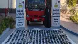 الأخبار