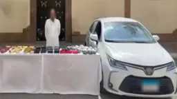 الأخبار