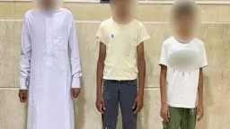 الأخبار