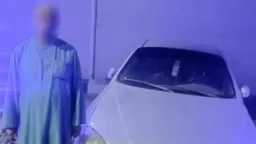 الأخبار