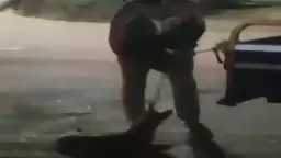 الأخبار