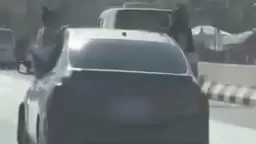 الأخبار