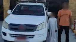 الأخبار