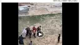 الأخبار
