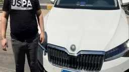 الأخبار
