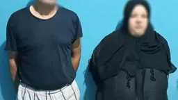 الأخبار