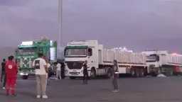 الأخبار