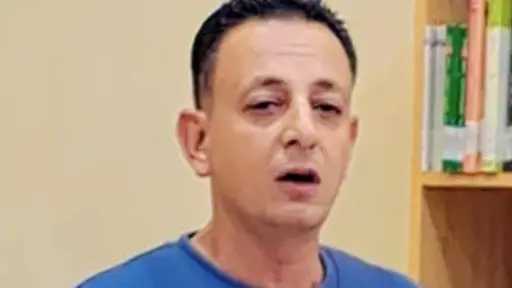 الفن