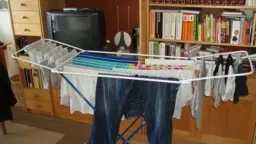 الأسرة والمجتمع