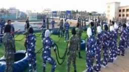 الأخبار