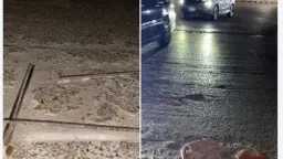 الأخبار