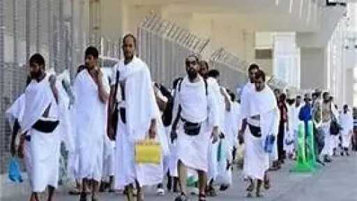 الأخبار