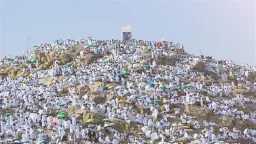 الأخبار