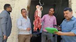 محافظات
