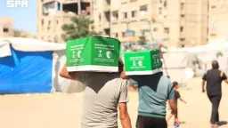الأخبار