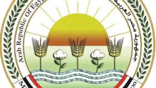 الأخبار