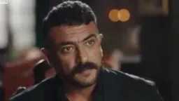 الفن