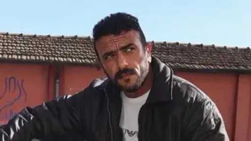 الفن
