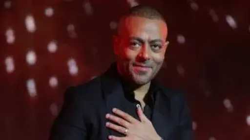 الفن