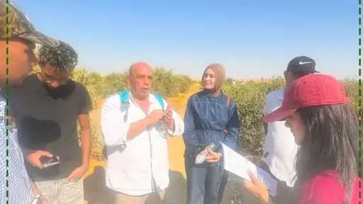 الأخبار