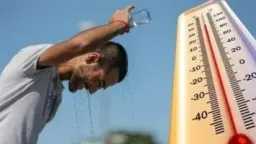الأخبار