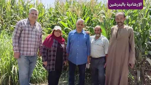 الأخبار
