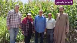 الأخبار