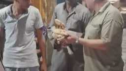 محافظات
