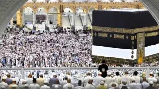الأخبار