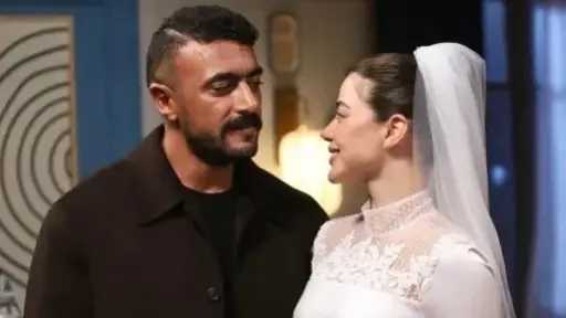 الفن