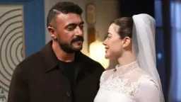 الفن
