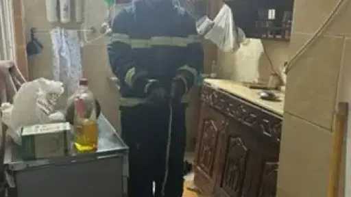 الأخبار