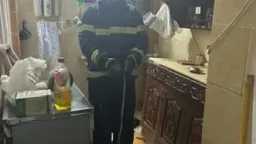 الأخبار