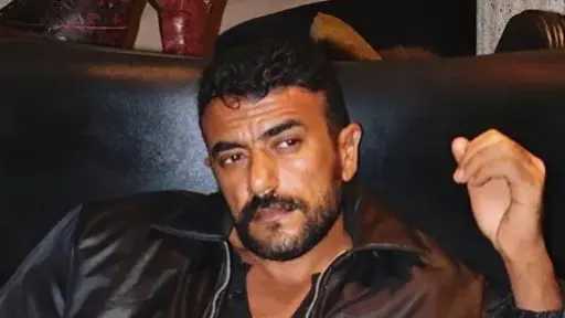 الفن