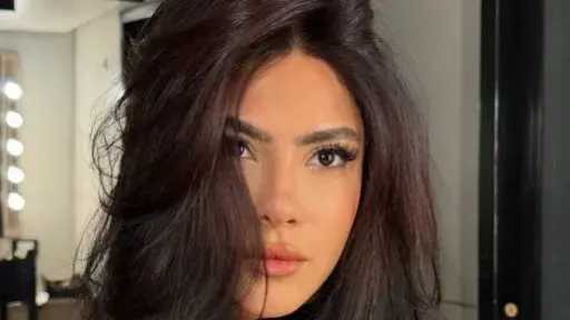 الفن