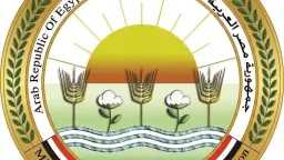 محافظات